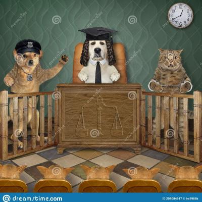 Chiens et chats a l audience un chien de garde temoigne une audition criminel juge jury ecoutent attentivement 208084917